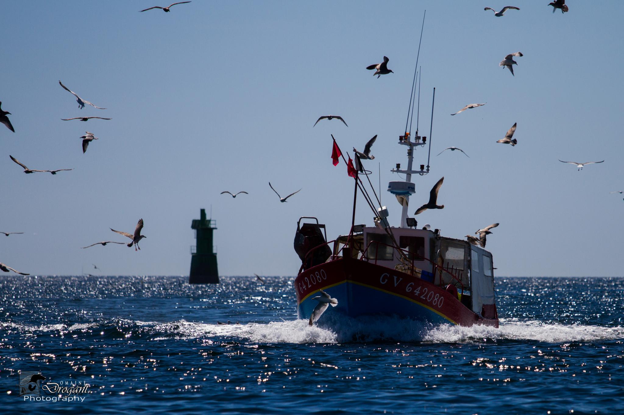Retour de pêche - photo Jean Jacques Abalain